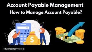 Accounts Payable Management