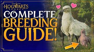 Hogwarts Legacy Complete Breeding Guide - How To Breed Beasts  / Tames - How To Unlock Breeding
