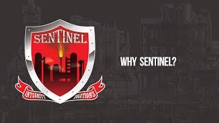 Sentinel Integrity Solutions - A reputation earned