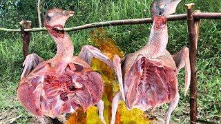 Set up bird trap - Bake bird with bamboo tube | Primitive Cooking Idea