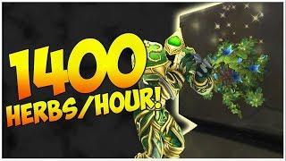 1400 HERBS PER HOUR | Battle For Azeroth WoW Gold Guide