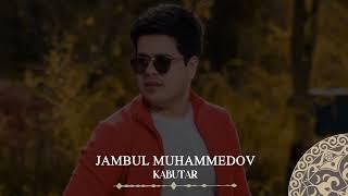 Jambul Muhammedov - Kabutar | Milliy Karaoke