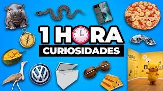 ¡1 HORA De DATOS CURIOSOS y CURIOSIDADES Del Mundo Qué No SABÍAS! ⏰#29