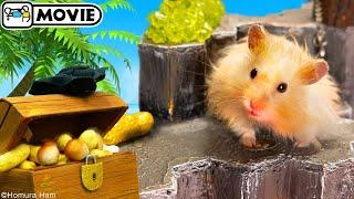 Hamster Pirate - Movie ‍️ Hamsters of the Caribbean ‍️ Homura Ham Pets