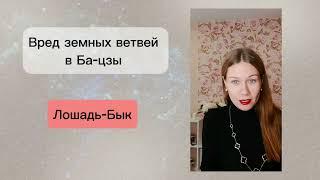 Вред земных ветвей в карте Ба-цзы