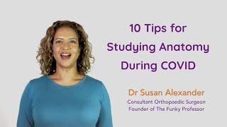 10 Tips for Studying Anatomy During Covid
