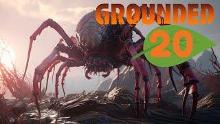 The Broodmother and a Dupey Discovery | Grounded (Woah Mode)