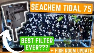 SEACHEM TIDAL FILTER REVIEW AND SETUP + FISH ROOM UPDATE