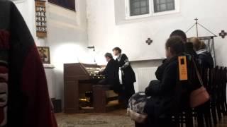 Christina Spektorova plays the organ (music Dieterich Buxtehude). Moscow 09.2013.