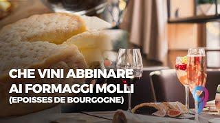 Che vini abbinare ai formaggi mollli (Epoisses de Bourgogne)