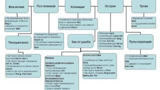 6. Классическая гомеопатия. Выход на конституцию. Характеристика боли.