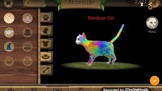 Cat Sim Online Update IDEAS #2