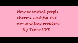 How to install chrome in linux and fix the no sandbox problem By Team NPS