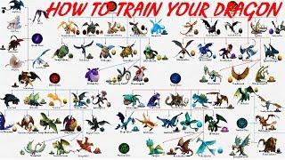 How To Train Your Dragon: Dragons, Dragon Classes And Eggs