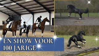 Johnny is wild in de wei | PaardenpraatTV