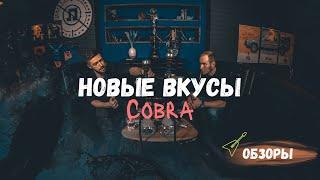 НОВЫЕ ВКУСЫ ТАБАКА "COBRA" | Табак, чайная смесь и Илья Кобзарев.