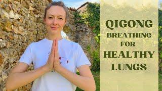 Qigong Exercises For Lung Health & Immunity