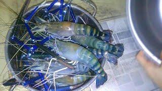 Ăn Tôm Càng Xanh Cùng Gia Đình Cực Thèm | Eat shrimp √