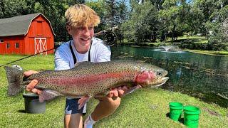 This Trout Farm is LOADED with Fish! (Every Cast)