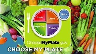 Choose My Plate Dietary Guidelines