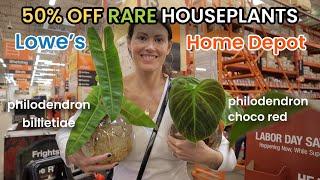 Home Depot Has 50% Off Houseplants + Choco Red & Billietiae Philodendron In Stock! Plant Shopping