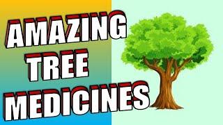 12 Incredible Medicinal Trees and Their Uses To Super-Boost Your Health