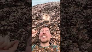 1Subscriber -1penny #funny #comedy #challenge #trending #mrbeast #viralvideo #funny #comedy #viral