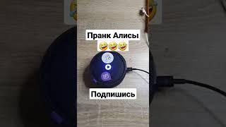 пранк Алисы  лучшие приколы 2021 / яндекс Алиса жгёт / #shorts