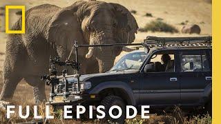 Desert (Full Episode) | Secrets of the Elephants | Executive Produced by James Cameron