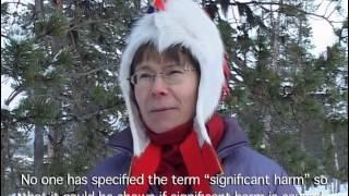 The Last Yoik in Sami Forests? - a documentary video for the UN.