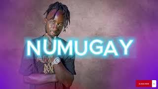 NUMUGAY - SAM+N _Prod  by Wino Beatz (Official Lyrics Video)