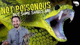 Zoologist Explains Snake Venom - Poisonous vs Venomous & How Venom Kills