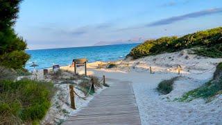 Playa de Muro  Bucht von Alcudia  traumhafter Strand ️ Mallorca  S’Albufera   Fotomotiv