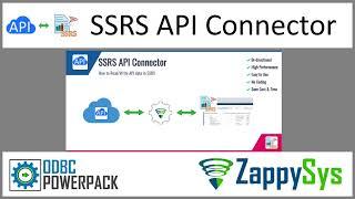 SSRS API Connector - Read/Write REST API Data in SSRS using predefined Connector File in API Driver