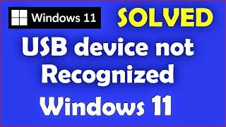 How to Fix USB device not recognized Windows 11