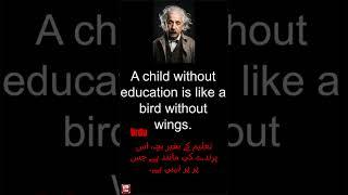 Urdu translate Quotes | #alberteinstein | #shorts #urdu #quotes #trendingshorts | umairquotes-10M