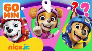 PAW Patrol Air Rescues Spin the Wheel w/ Skye! | Games For Kids | Nick Jr.