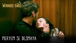 Meryem se desmaya | Wounded Birds (Yaralı Kuşlar) Capítulo 134