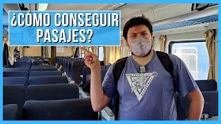 Así CONSIGO PASAJES en los TRENES ARGENTINOS | Mar del Plata / Córdoba / Tucumán / Pinamar / Bahía