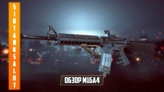 M16A4 - лучшая штурмовая винтовка для дальних дистанций? (Battlefield 4 гайд, gameplay)