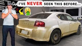 Cleaning a NASTY Car Full of Surprises!