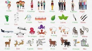 Irregular Plural Nouns in English | Singular and Plural Nouns