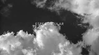 Espectacular-Miguel Cortez Composicion