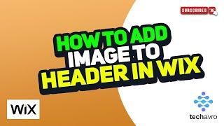 How to Add Image to Header in Wix 2024