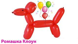СОБАЧКА ИЗ ДЛИННОГО ШАРИКА ШДМ как сделать Balloon Animal Dog TUTORIAL uno perrito con globos