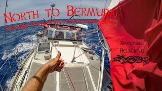 North to Bermuda: Homemade Aluminum Sailboat Passage Notes