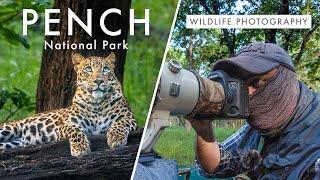 Wildlife Photography in Pench National Park | TIGER COUNTRY Ep. 1 -  Leopard Quest
