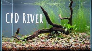 Building A Low-Tech Riverbed For Tiny Trout And Cherry Shrimp | Tips, Tricks, Good Vibes