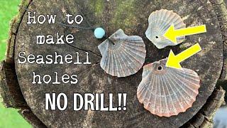 How to put a hole into a shell. NO drilling! Seashell holes made easy 