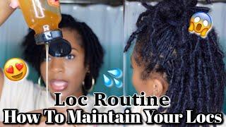 How To Maintain Your Starter Locs + My Hydrating Loc Routine